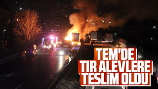 TEM'de tır yandı