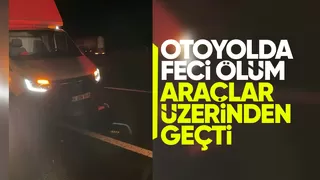 TEM' e çıkan yayanın feci ölümü