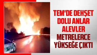 TEM'i kapatan yangın