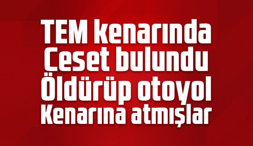 TEM kenarında Suriyelinin cesedi bulundu