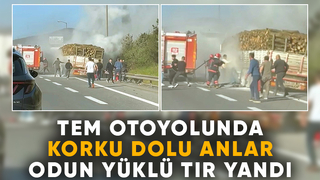 TEM Otoyolunda ağaç yüklü tır yandı