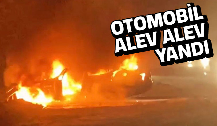 TEM otoyolunda otomobil alev alev yandı