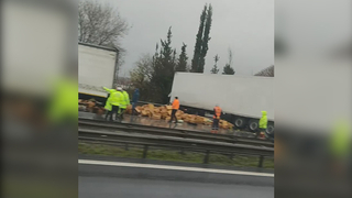 TEM' peş peşe kazalar