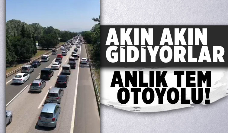 TEM Sakarya geçişinde trafik durma noktasına geldi