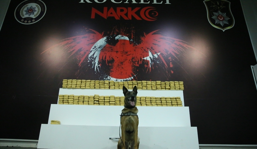 TEM’de dev operasyon!