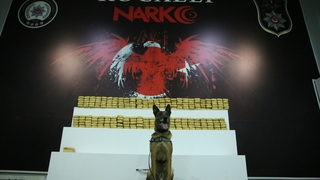 TEM’de dev operasyon!