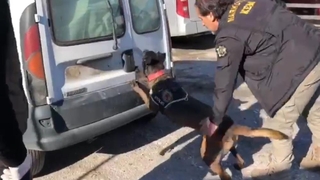 TEM’de durdurulan araçtan 115 kilogram uyuşturucu çıktı