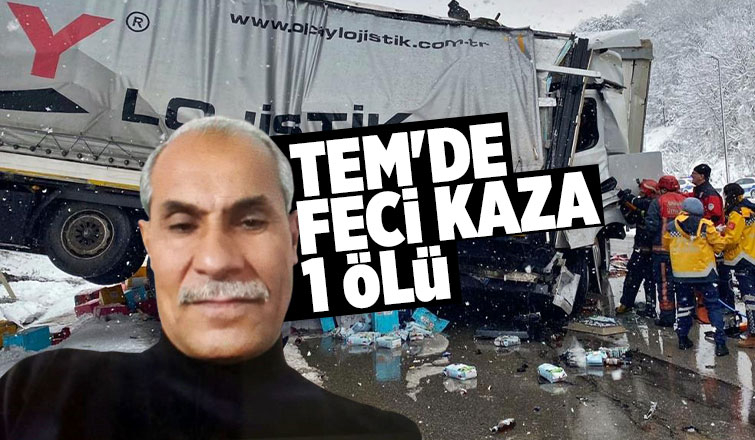 TEM’de iki tır çarpıştı, sürücü öldü