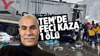 TEM’de iki tır çarpıştı, sürücü öldü