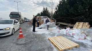 TEM’de kontrolden çıkan tır devrildi