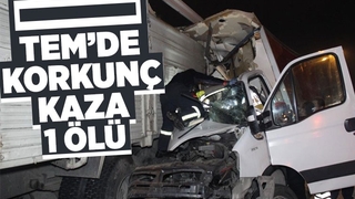 TEM’de korkunç kaza: 1 ölü