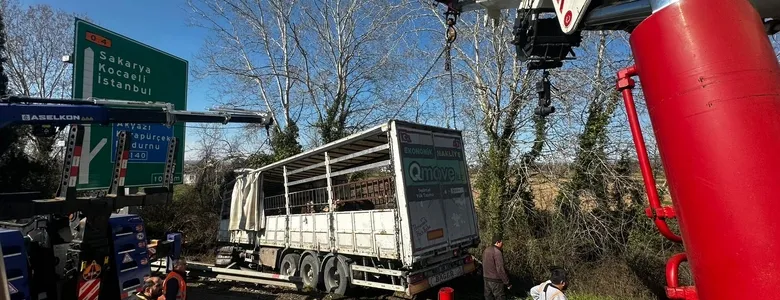 TEM’de kurbanlık taşıyan tır şarampole uçtu