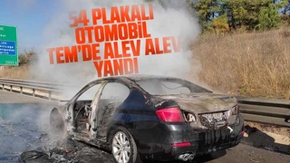 TEM’de otomobil alev alev yandı