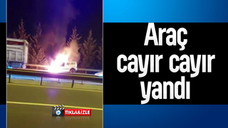 TEM’de yanan hafif ticari araç alev topuna döndü