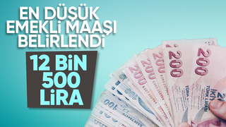 Temmuz'da uygulanacak en düşük emekli maaşı 12 bin 500 liraya yükseldi
