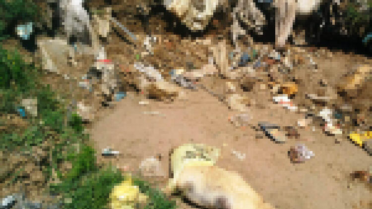 Tepki çeken olay! Çöplükte bulundular