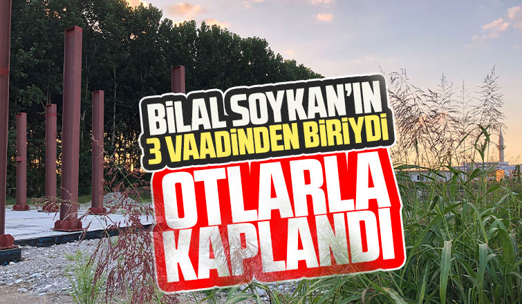 Terminal inşaatı durdu yerinde otlar çıktı