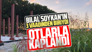 Terminal inşaatı durdu yerinde otlar çıktı