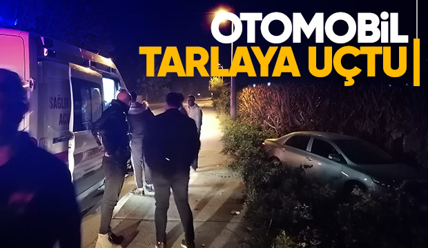 Tarlaya uçan otomobilde sürücü yaralandı