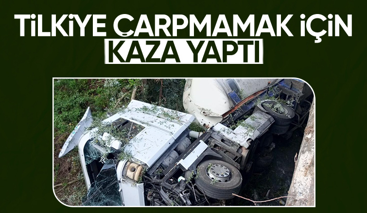 Tilkiye çarpmamak için kaza yaptı