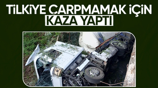 Tilkiye çarpmamak için kaza yaptı