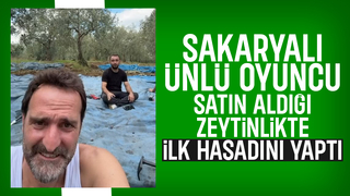 Timur Acar satın aldığı zeytinlikte ilk hasadını yaptı