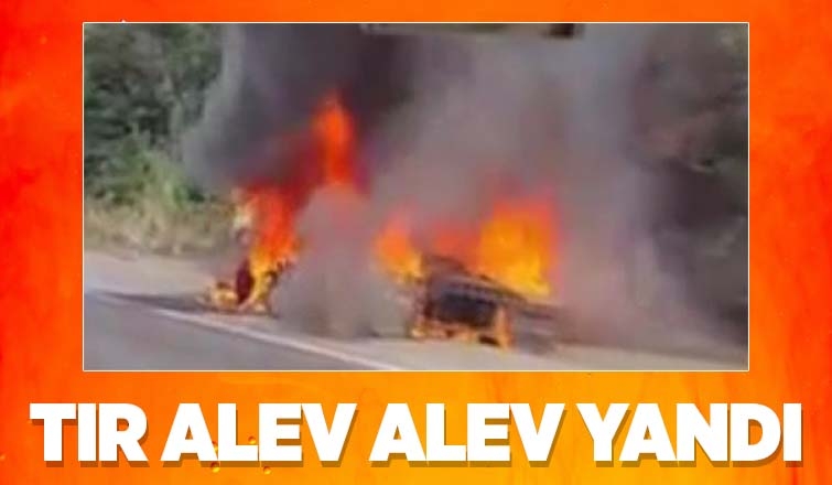 Tır alevlere teslim oldu