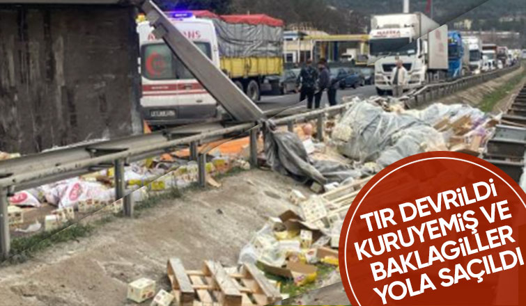 Tır devrildi, kuruyemişler yola saçıldı