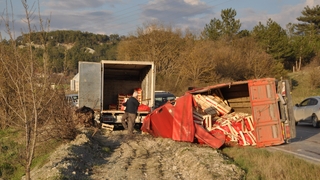 Tır ile çarpışan kamyon devrildi, havuçlar yola saçıldı