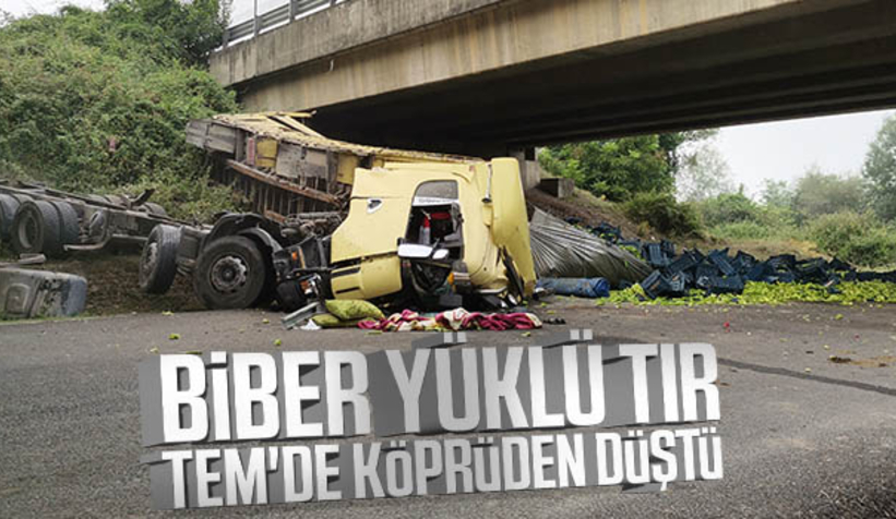 Tır köprüden aşağı düştü: 2 yaralı