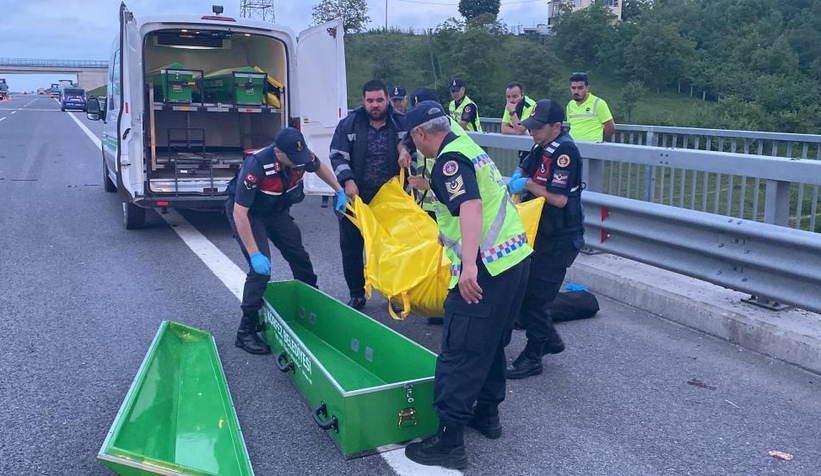 Tır şoförünün feci ölümü