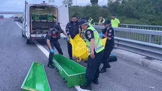 Tır şoförünün feci ölümü