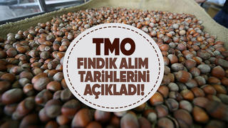 TMO'dan fındık alım açıklaması