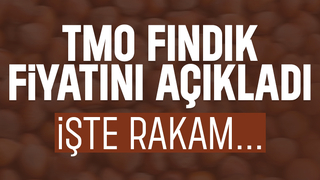 TMO fındık alım fiyatını açıkladı