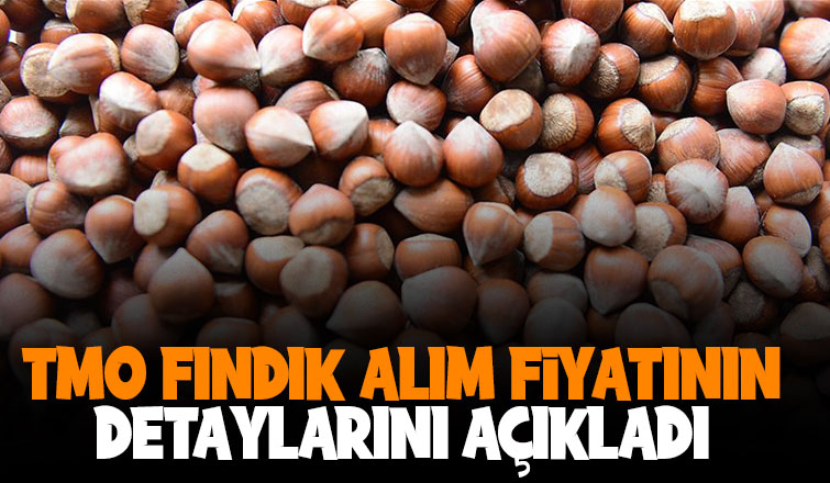 TMO, fındık alım fiyatlarının detayını açıkladı