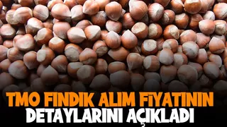 TMO, fındık alım fiyatlarının detayını açıkladı