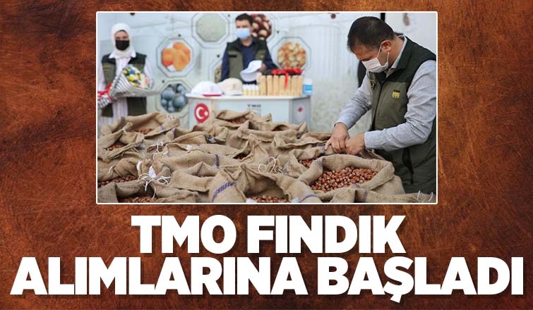 TMO fındık alımına başladı