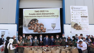TMO fındık alımına törenle başladı