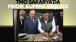 TMO fındık alımlarına başladı: İşte Sakarya'daki alım noktaları