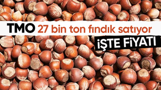 TMO fındık satacak