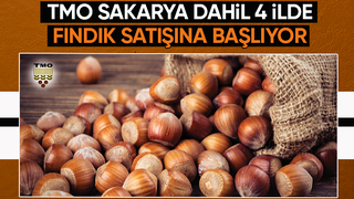 TMO fındık satışına başlıyor; İşte fiyatlar