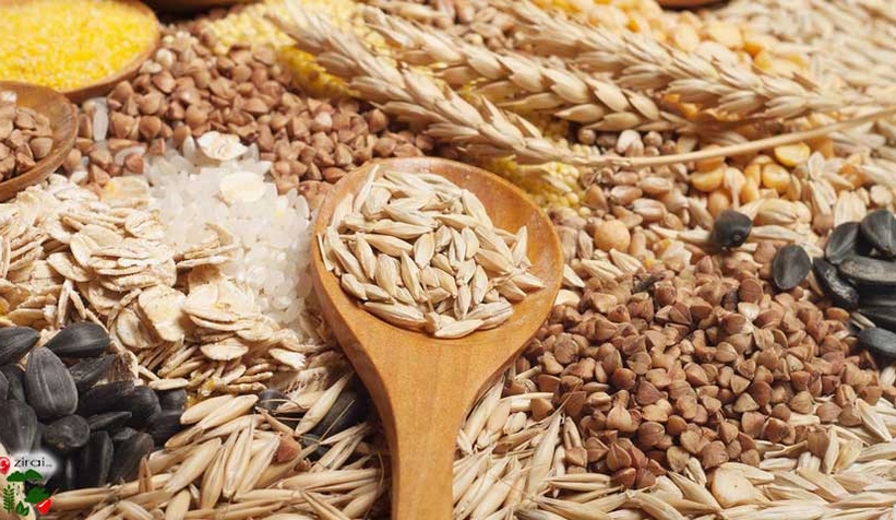 TMO hububat alım fiyatları güncellendi