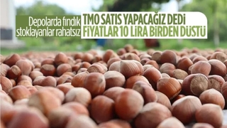 TMO'nun kararı fındık fiyatlarını sert düşürdü