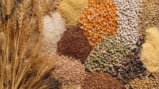 TMO Ocak hububat satışlarını Aralık fiyatlarıyla yapacak