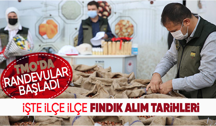TMO Sakarya'da fındık alım tarihleri ve yerlerini açıkladı