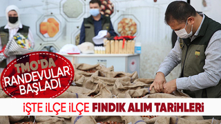 TMO Sakarya'da fındık alım tarihleri ve yerlerini açıkladı