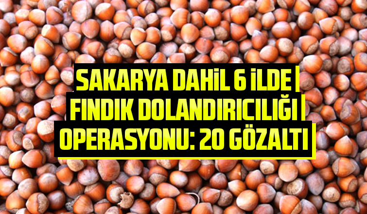 TMO'yu dolandıranlara operasyon