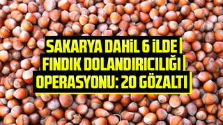 TMO'yu dolandıranlara operasyon