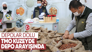 TMO’da alım başlayacak ama Kuzey’de depolar dolu!