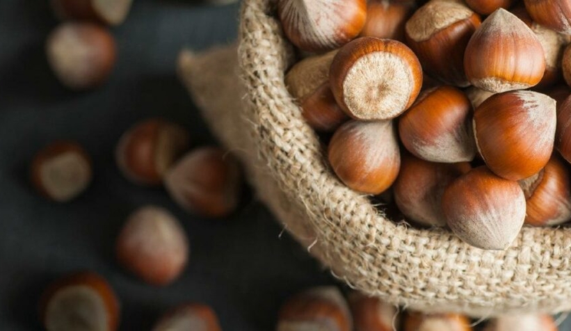 TMO’nun fındık alımları 1 Eylül’de başlıyor